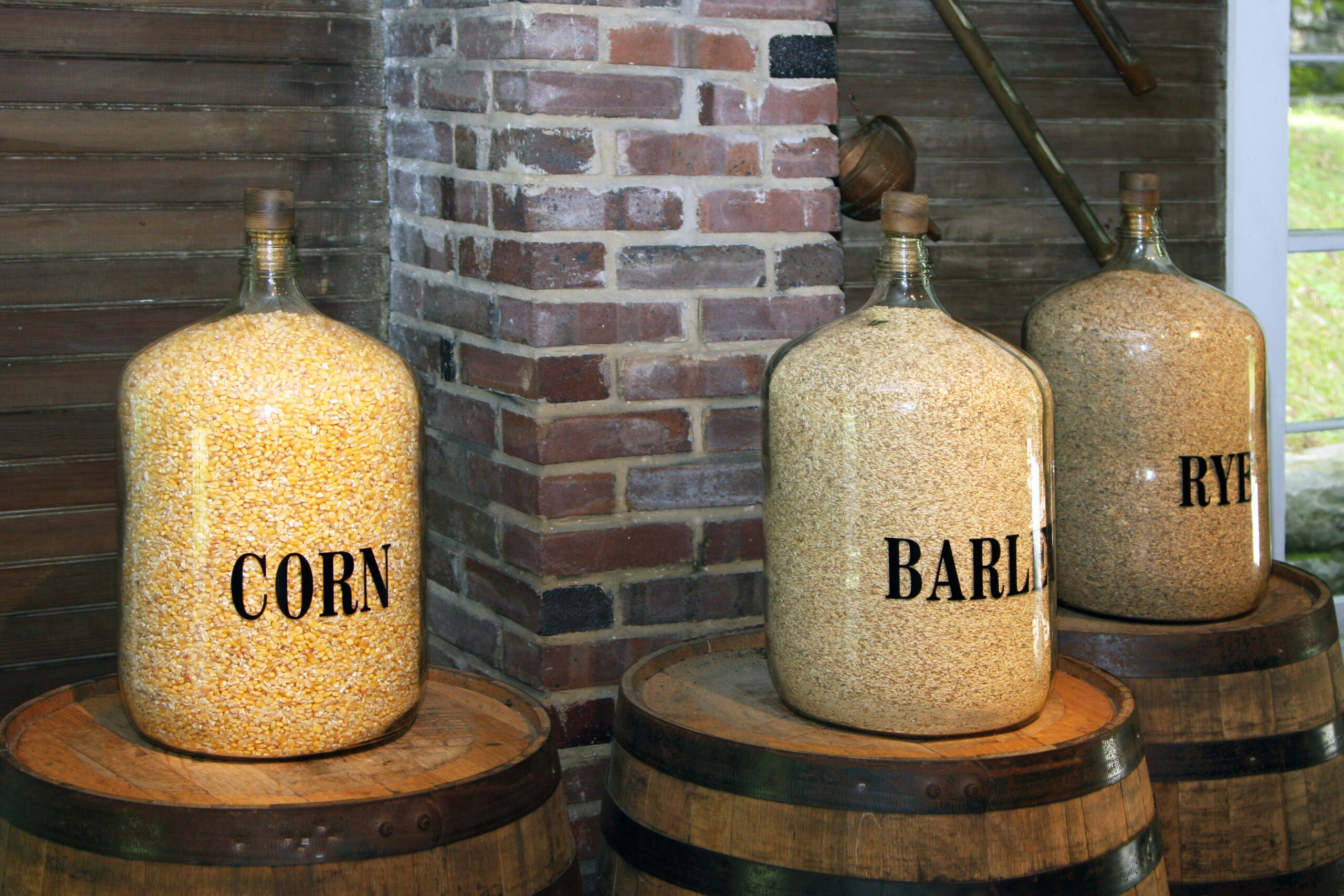 Corn, barley and rye grains