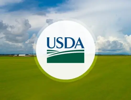 Beauty is in the Eye of the Beholder